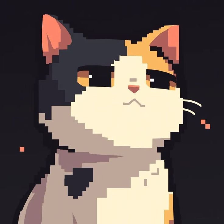 Bhavya - Technical & Team Member